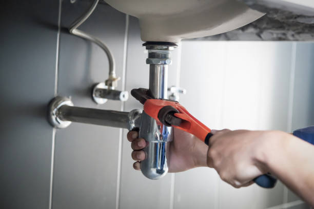 Best Clogged Drain Plumber  in Shenandoah, IA
